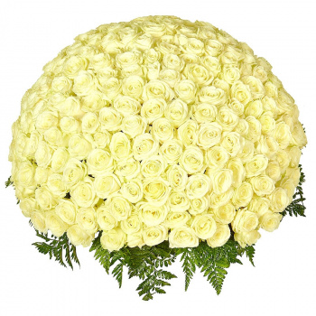 Букет из 201 белой розы в корзине